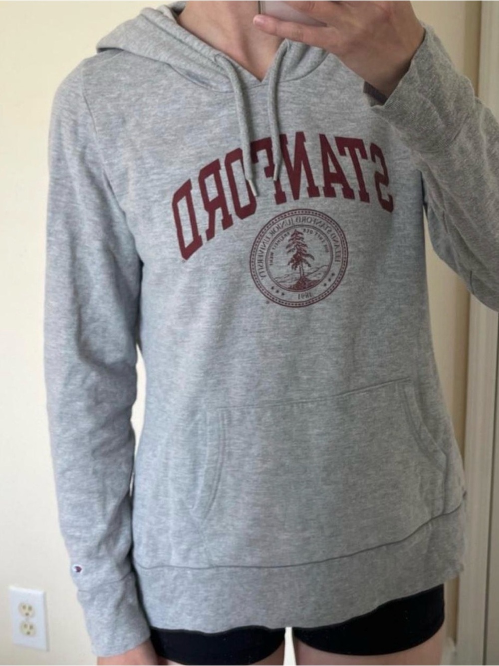 Champion Grey Stanford Hoodie